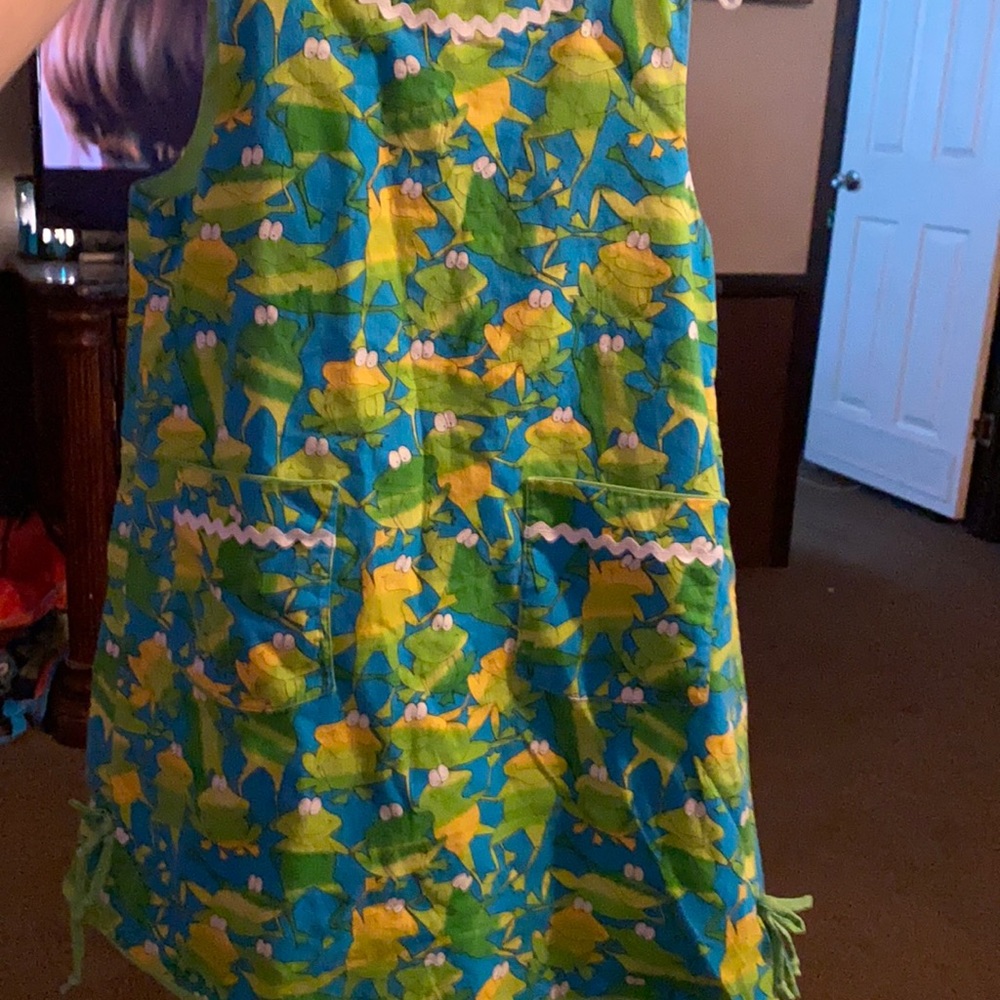 Cute little girls frog dress